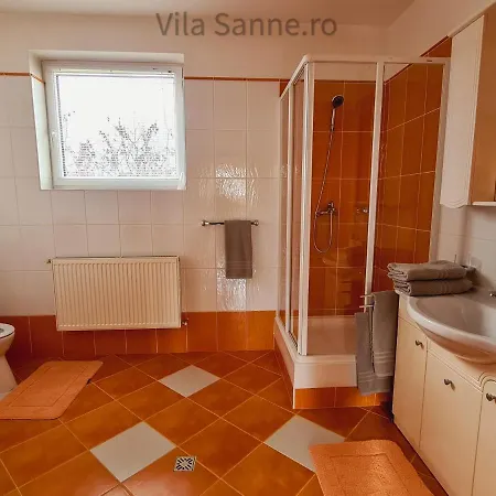 Vila Sanne Brasov , Heldsdorf Exterior photo